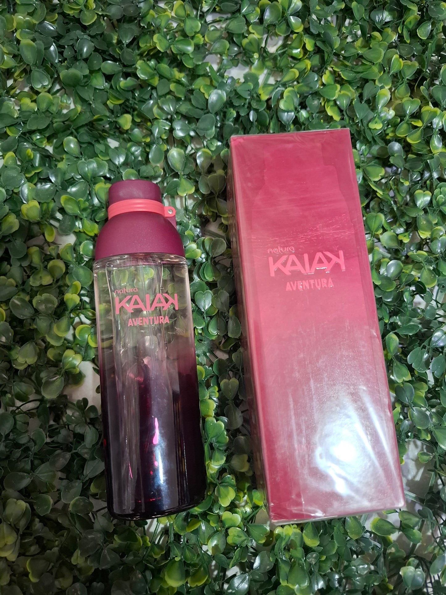 Kaiak aventura